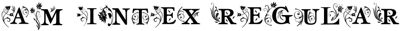 am_intex Regular font