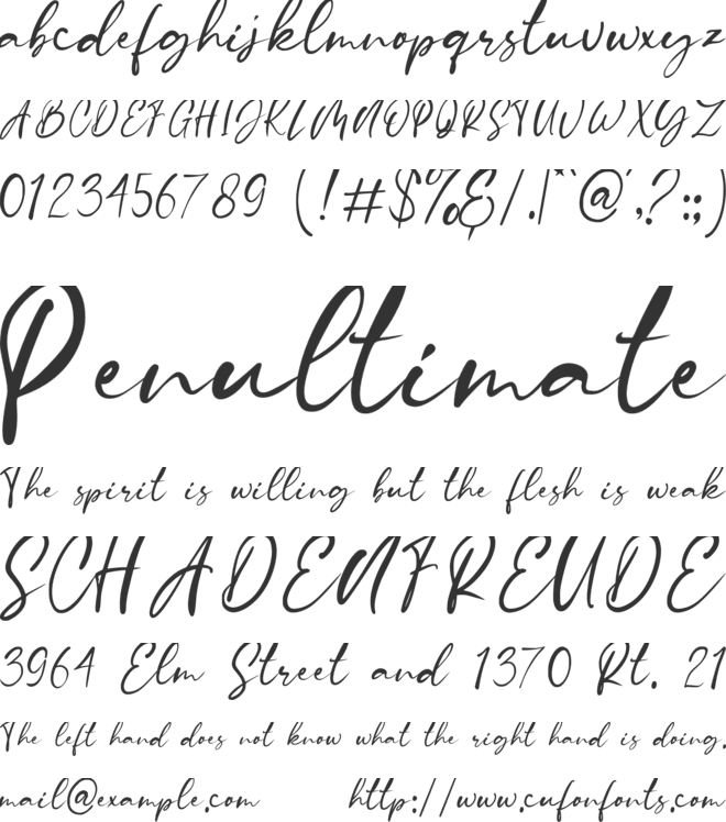 Stamford Bridge font preview