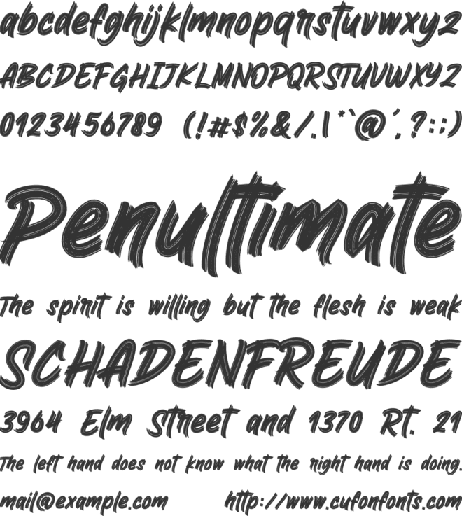 BingoReky font preview