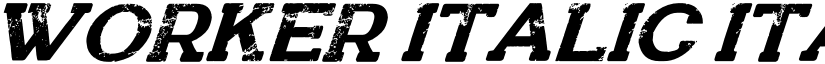 WORKER Italic Italic font