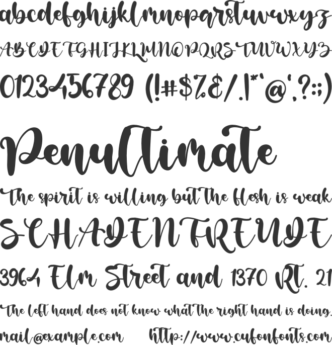 Ronald Hewitt font preview