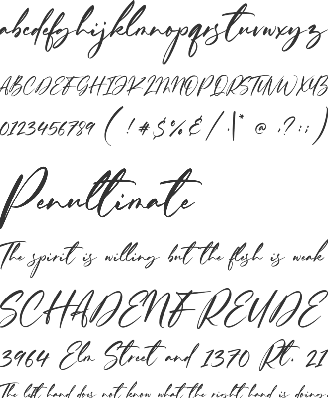 Ferguson Hunter font preview