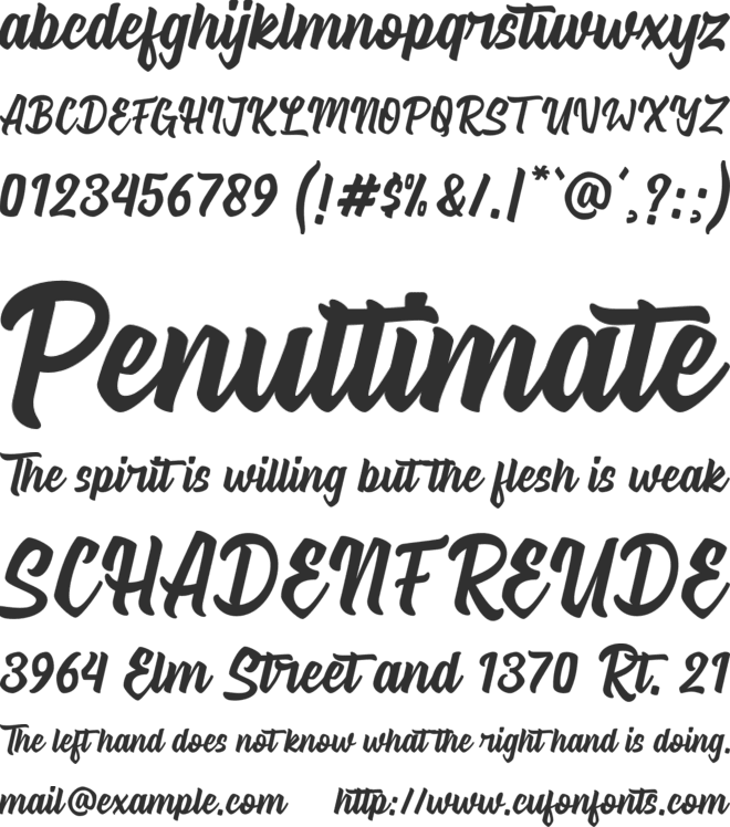 Signatype font preview