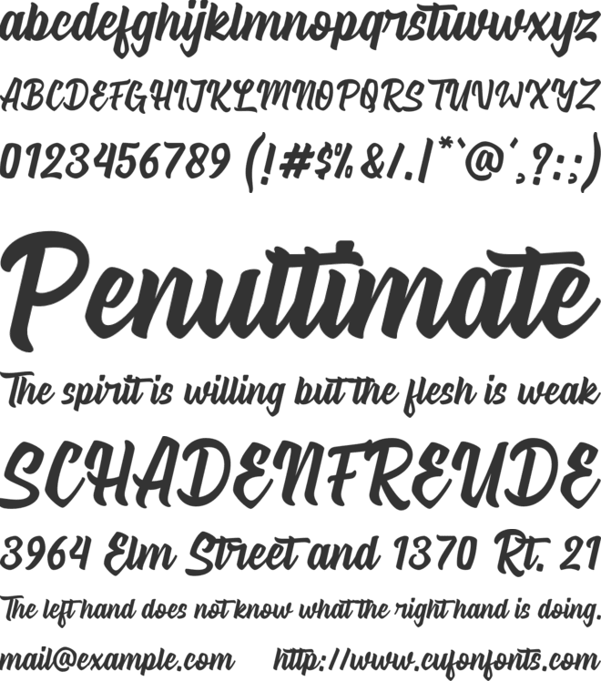 Signatype font preview