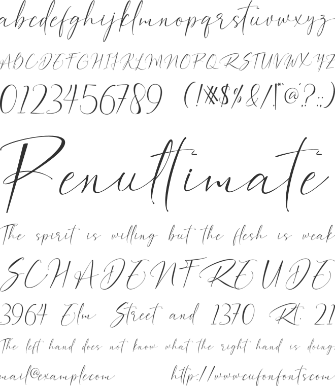 Bilaria Realistic font preview