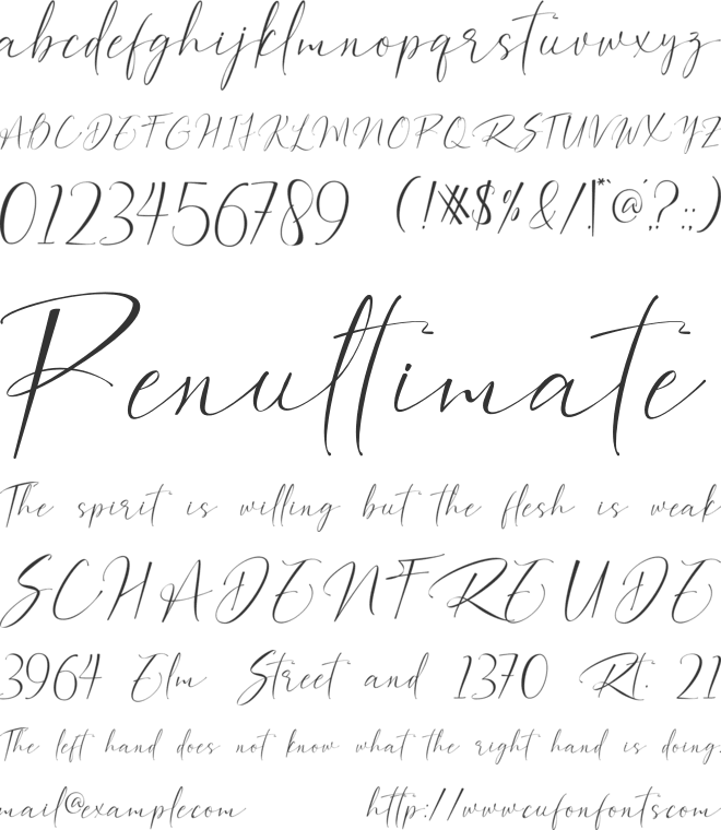 Bilaria Realistic font preview