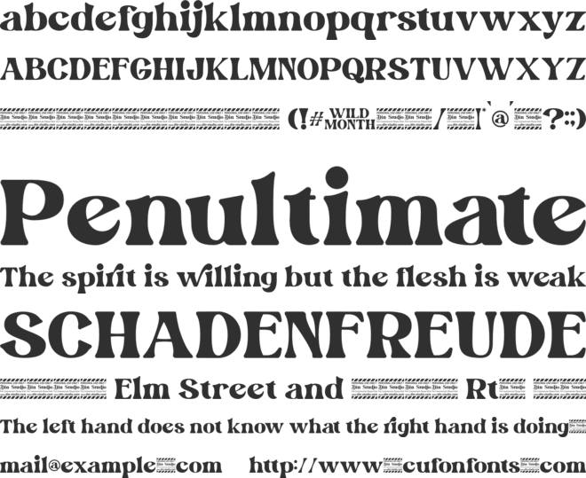 Wild Month Personal Use font preview