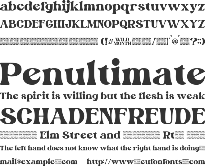 Wild Month Personal Use font preview