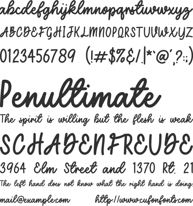 Secret Admirer Script font preview