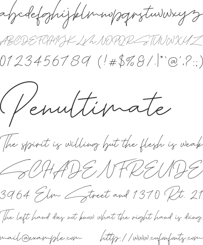 Tropical Summer Signature font preview