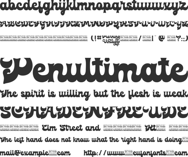 Morning Vintage Personal Use Only font preview