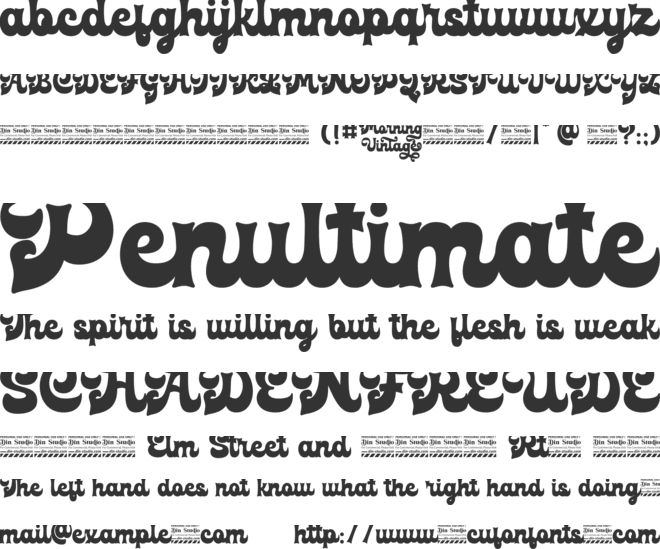 Morning Vintage Personal Use Only font preview