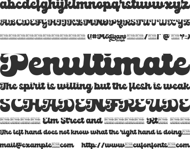 Medyan Script Personal Use Only font preview