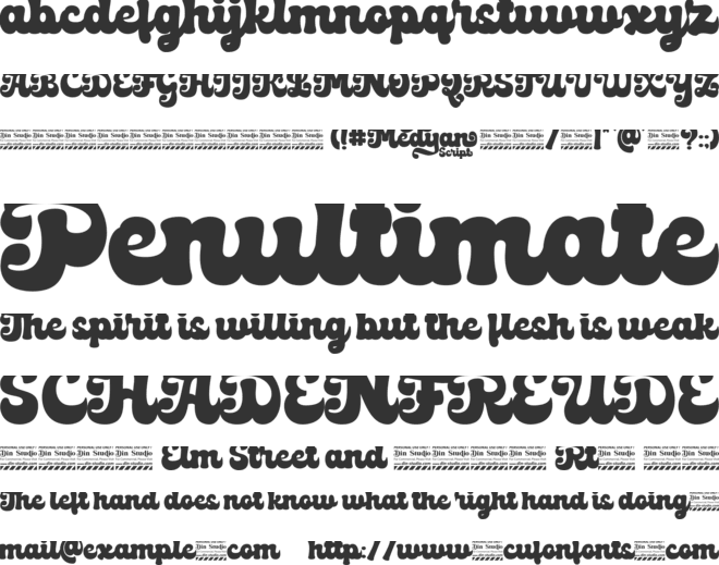 Medyan Script Personal Use Only font preview