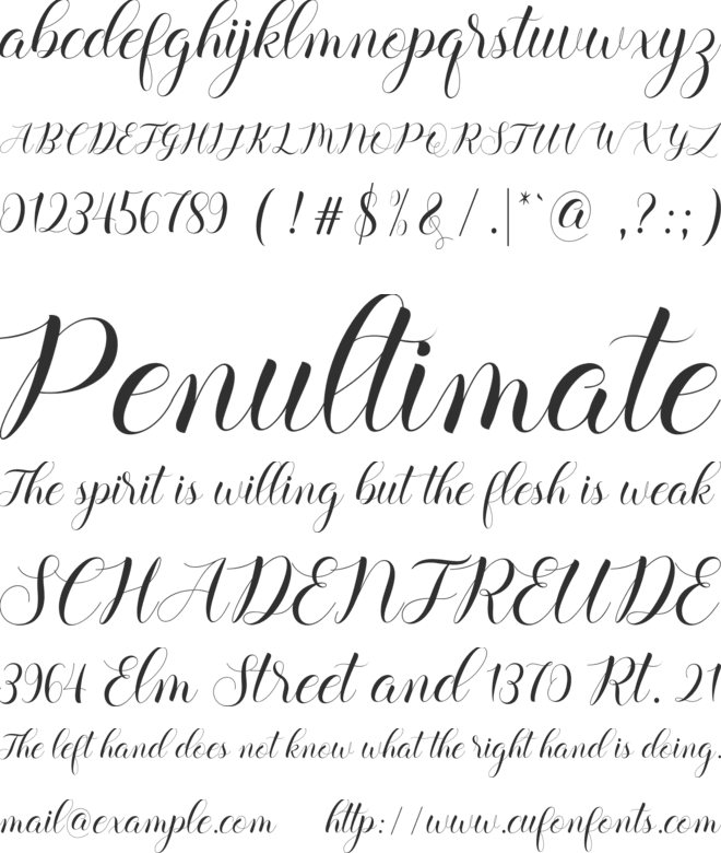 ediana font preview
