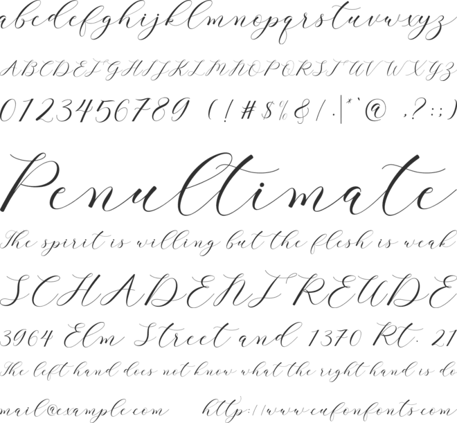 clover font preview