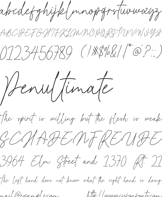 Kamila Signature font preview