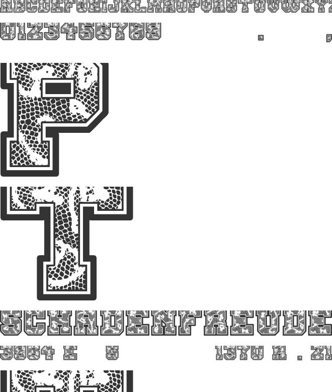 Cheer Lace Leader font preview