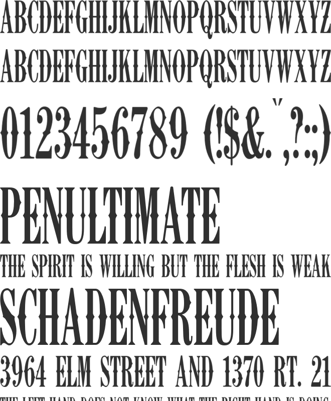 K22 Ambelyn Condensed font preview