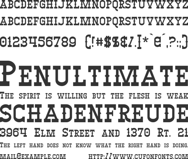 Winslett font preview