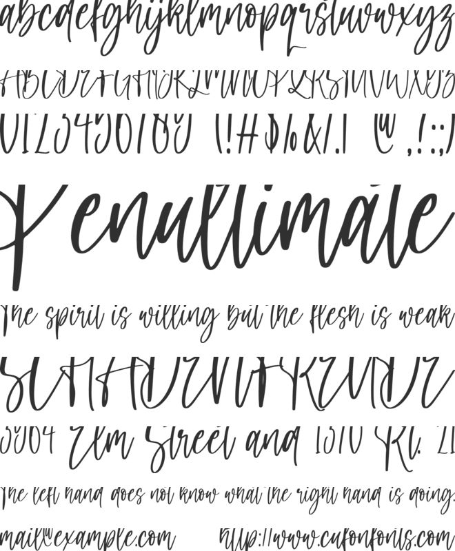 Daddy Day font preview