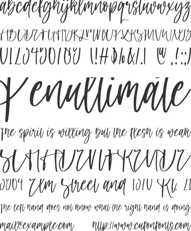 Daddy Day font preview