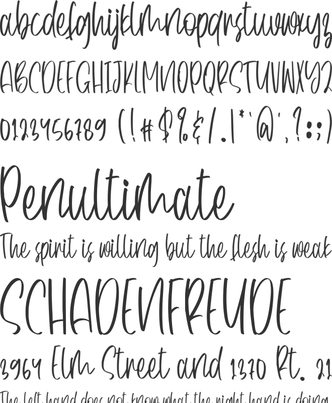 Beautiful Blossoms font preview