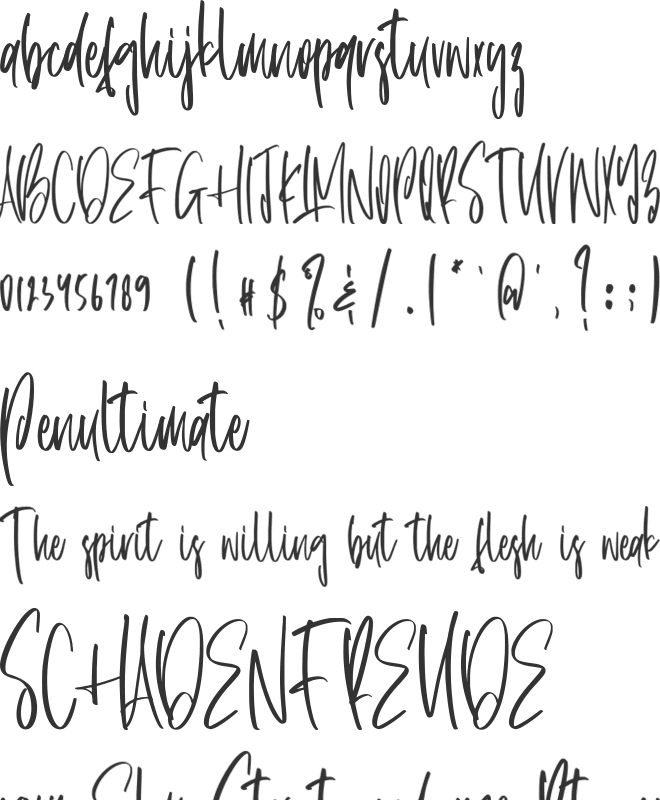 Saturniid font preview