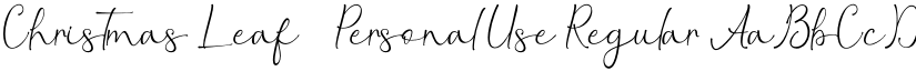 Christmas Leaf - Personal Use Regular font
