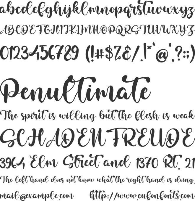 Bailey Austin font preview