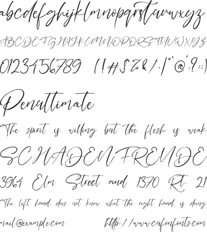 Basskia font preview