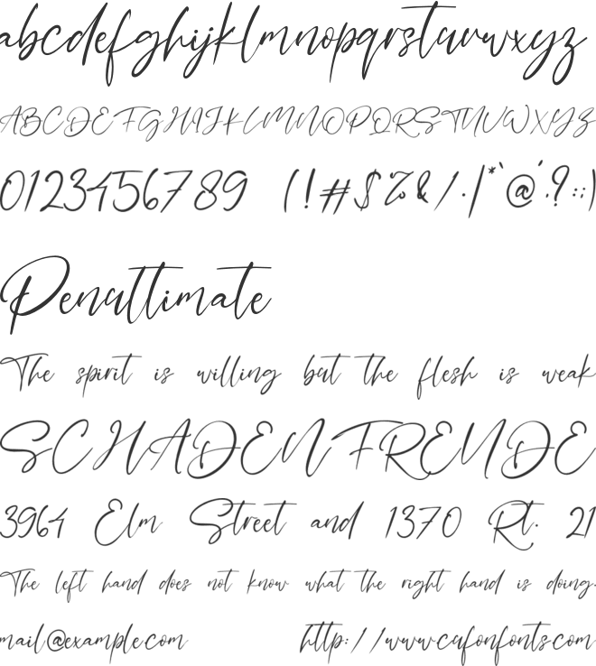 Basskia font preview