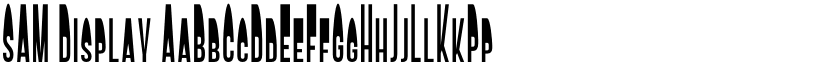 SAM Display font