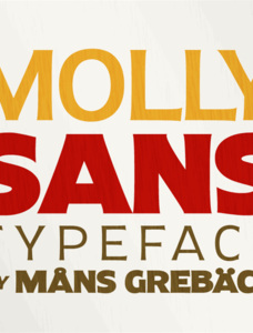 Molly Sans C PERSONAL Font Family