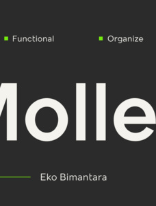 Mollen Personal Use Font Family