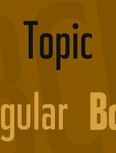 Topic Font Family
