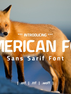 American Fox Font