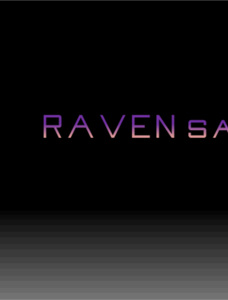 Raven Serif NBP Font Family