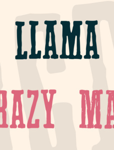 Llama Grazy Font Family