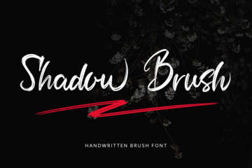 Shadow Brush Swash