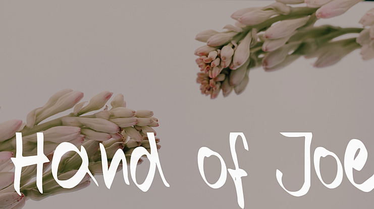 Hand of Joe Font