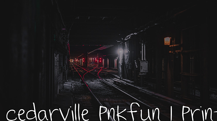 Cedarville Pnkfun 1 Print Font