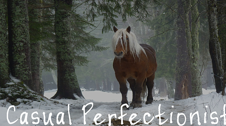 Casual Perfectionist Font