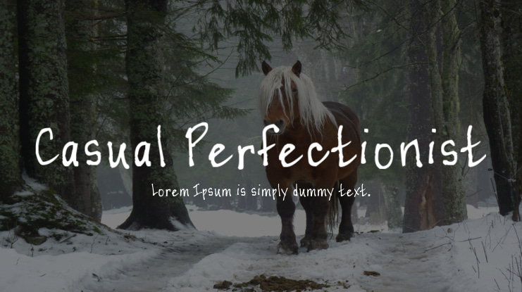Casual Perfectionist Font