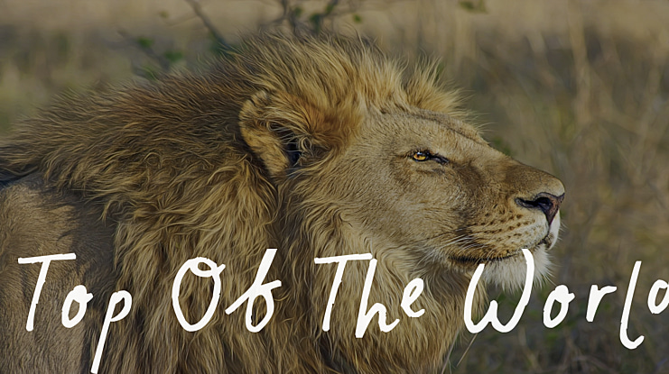 Top Of The World Font