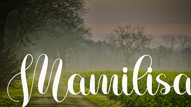 Mamilisa Font