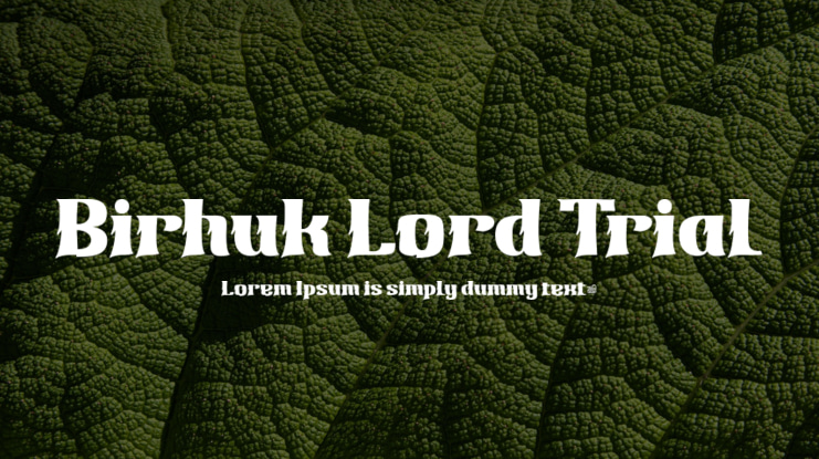 Birhuk Lord Trial Font