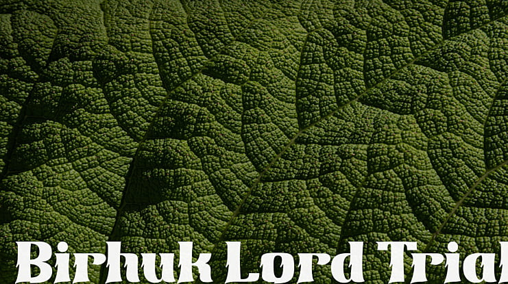 Birhuk Lord Trial Font