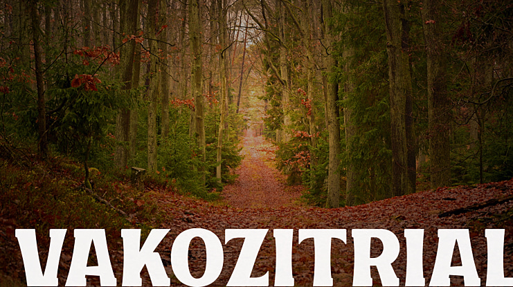 VAKOZITRIAL Font