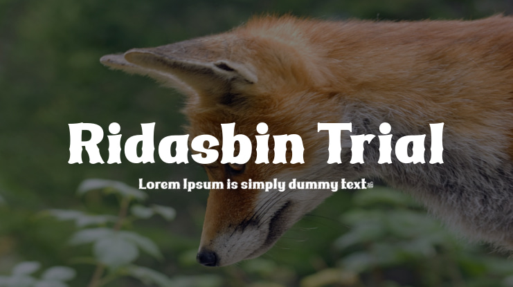 Ridasbin Trial Font